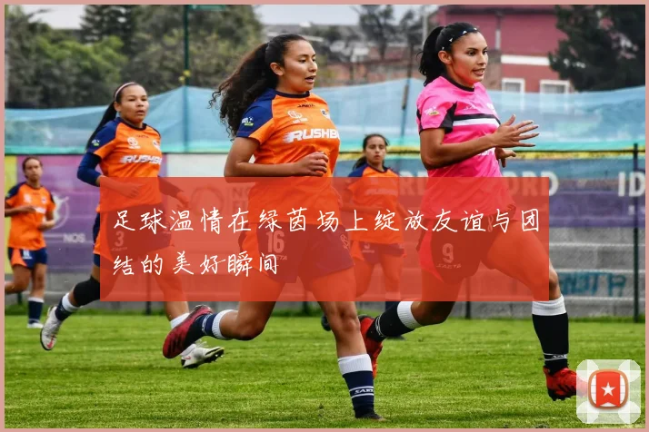 足球温情在绿茵场上绽放友谊与团结的美好瞬间