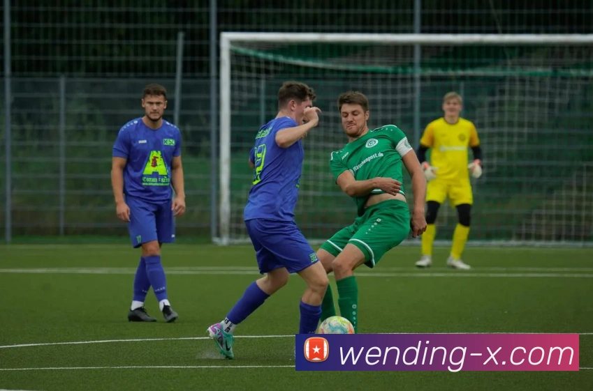 App Interface Preview